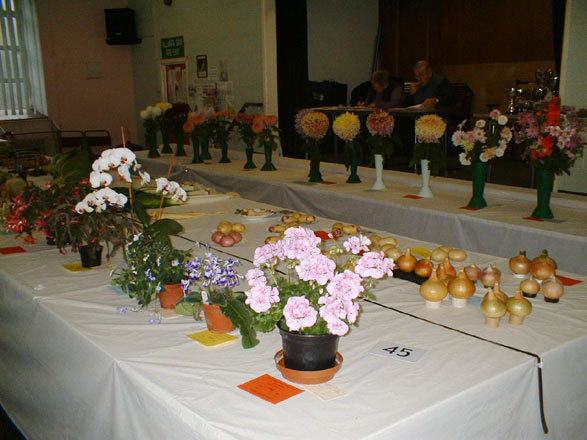A showcase of flowers and vegetables exhibited at the show